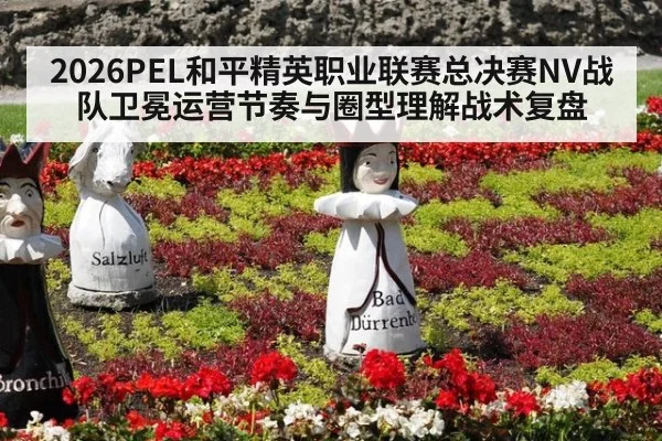 2026PEL和平精英职业联赛总决赛NV战队卫冕运营节奏与圈型理解战术复盘